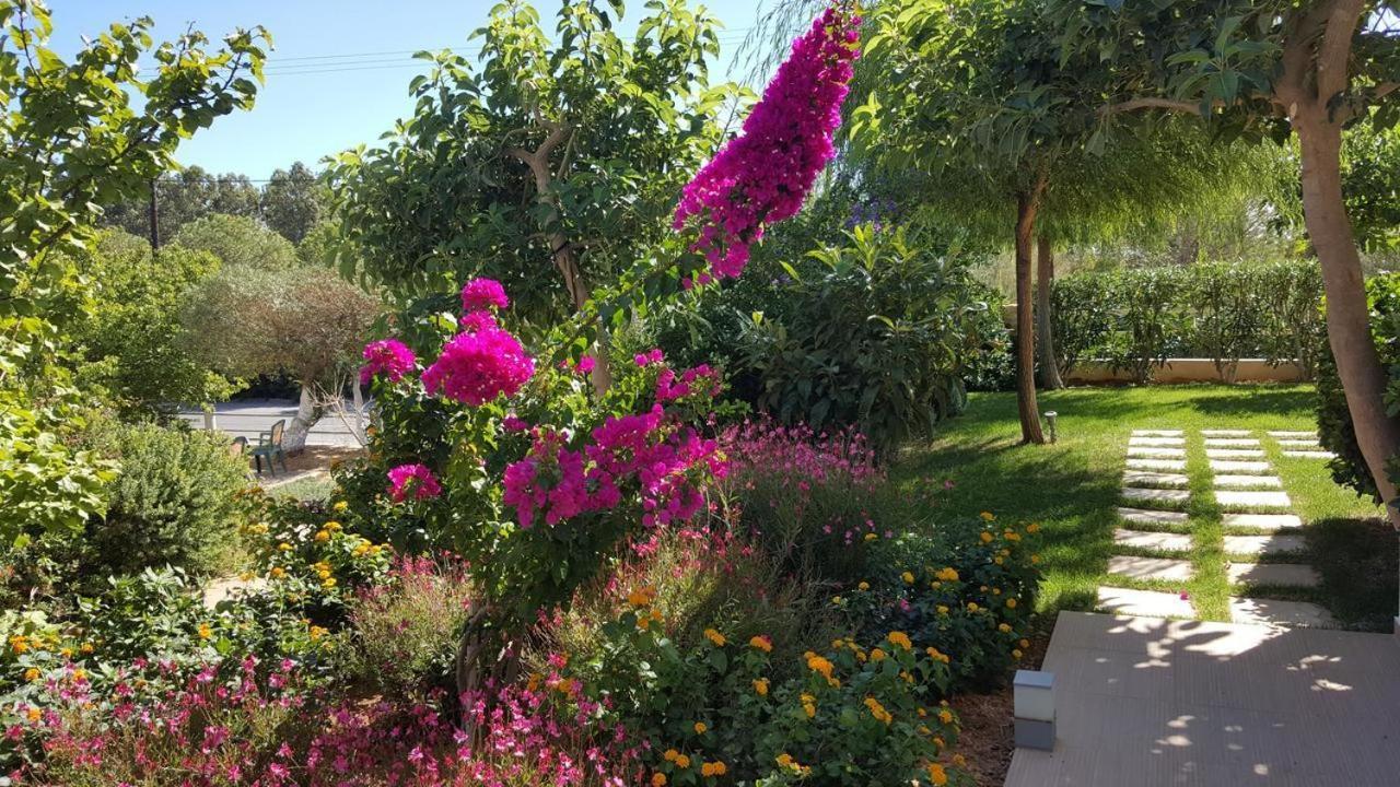 Mear Holiday Homes - Cretan Summer Getaways Kountoura Selino Ngoại thất bức ảnh